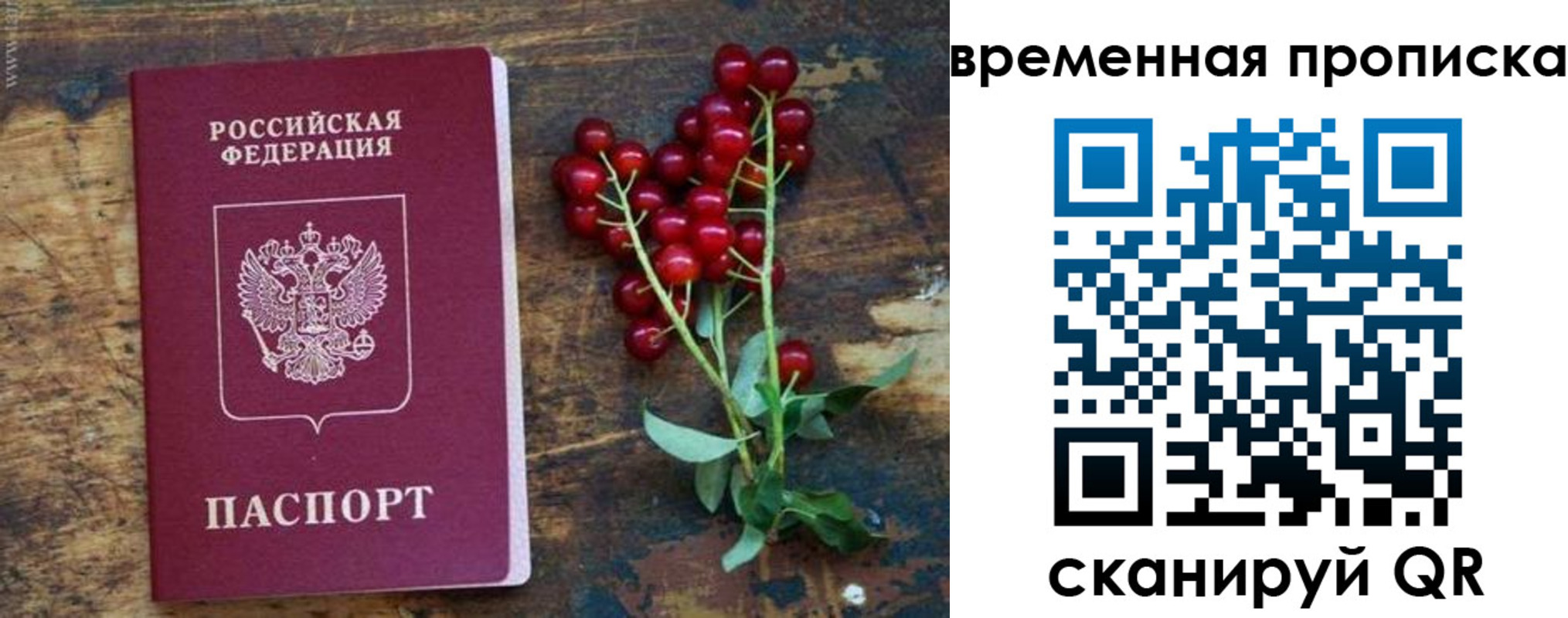 временная регистрация гарантия в Ярцево
